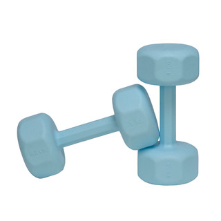 دمبل ۳ کیلویی آرکا فیت مدل ANT-3000